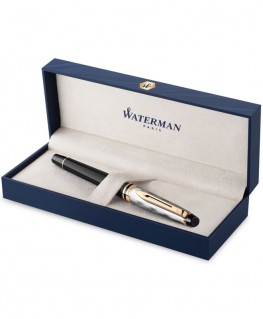 stylo-plume-waterman-expert-deluxe-reflections-of-paris_2200840-waterman-ecrin