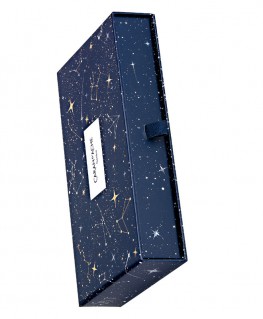 stylo-bille-caran-dache-ecridor-venetian-palladium-edition-limitee_8902.486-coffret