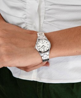 montre-festina-swiss-made-argent-bracelet-acier_f20006/1-image